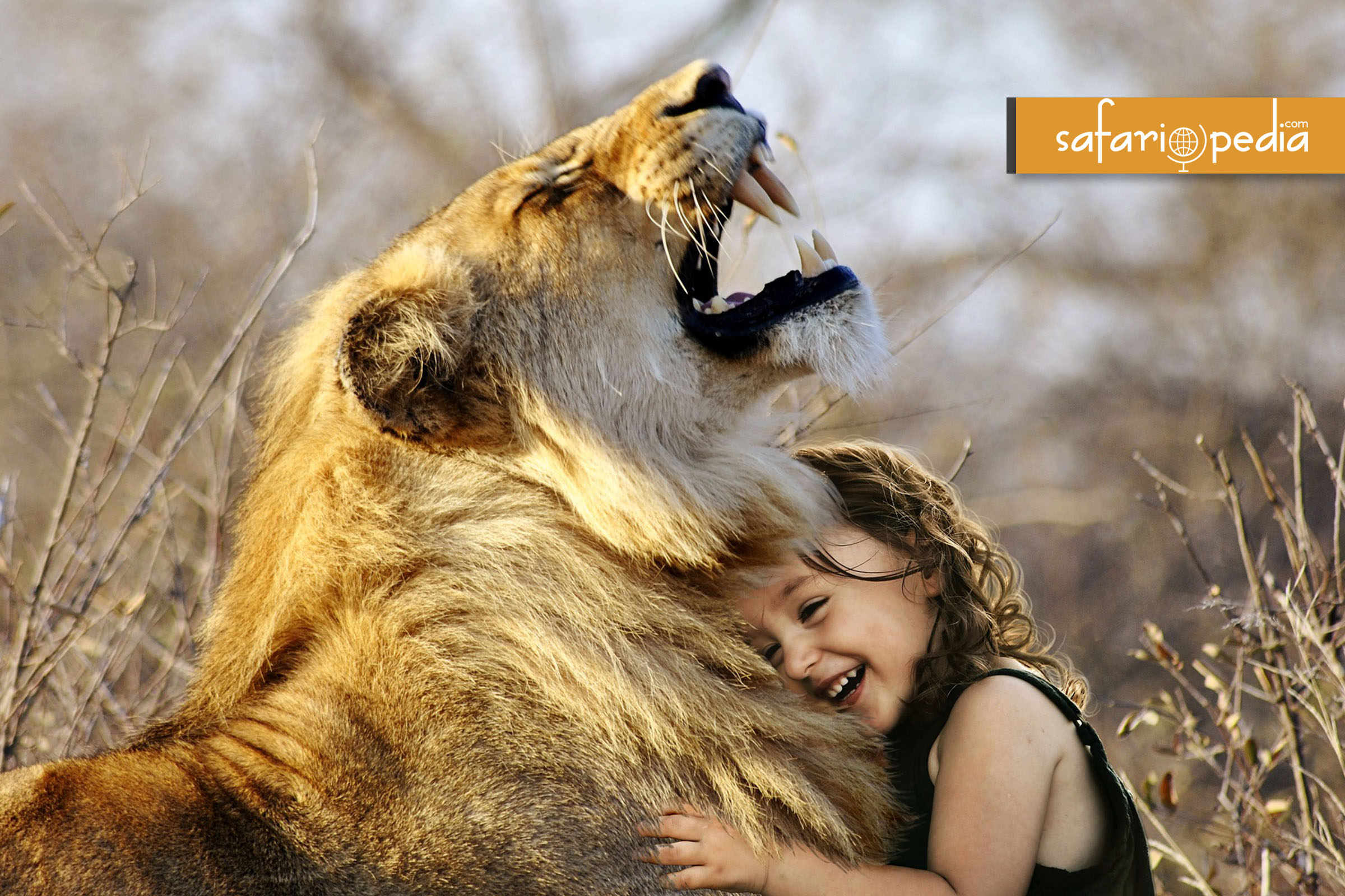 Introducing Safariopedia
